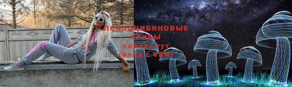 Альфа ПВП Алексин