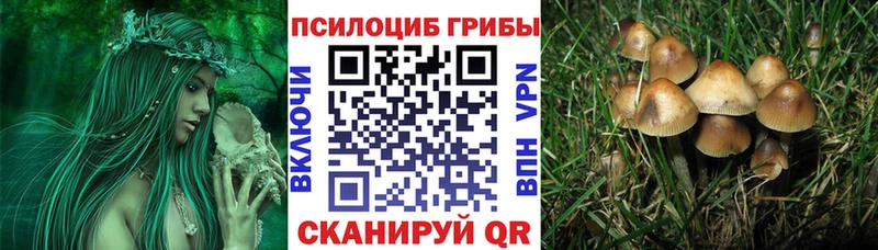 Псилоцибиновые грибы Cubensis  Белореченск 